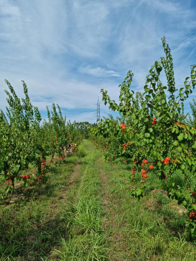 Corte Bottura Agriturismo กัสเตลนูโอโว เดล การ์ดา ภายนอก รูปภาพ